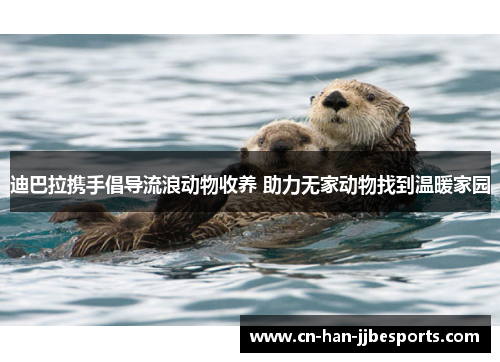 迪巴拉携手倡导流浪动物收养 助力无家动物找到温暖家园