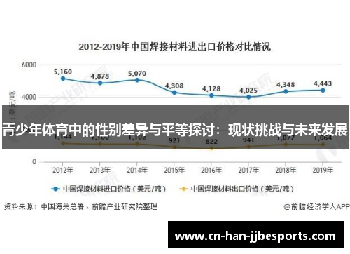 青少年体育中的性别差异与平等探讨：现状挑战与未来发展